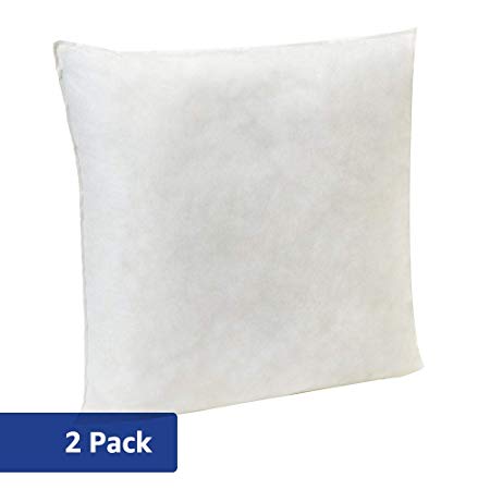 AmazonBasics Pillow Insert - 20-Inch Square, 2-Pack