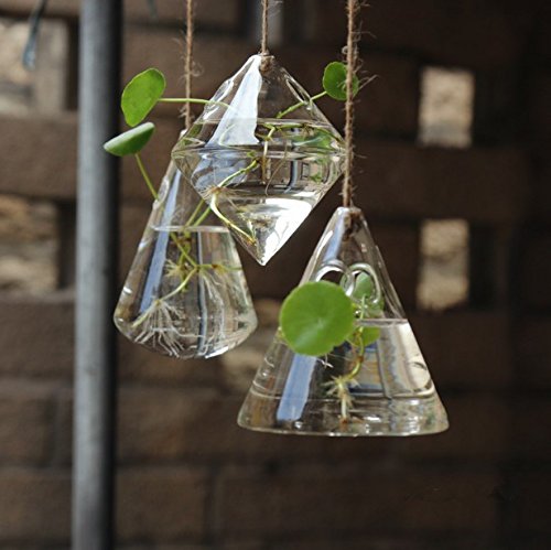 Fashionstorm Irregular Geometric Vase Glass Vessel Hanging Planters Flower Pots/water Planter Vase Set Including 3 Pieces