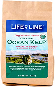 Life Line Organic Ocean Kelp