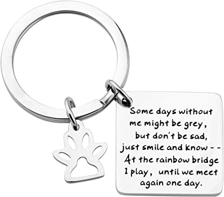 AKTAP Pet Memorial Jewelry Pet Loss Gift Some Days Without Me Might Be Grey Pet Sympathy Keychain in Memory of Dog Cat