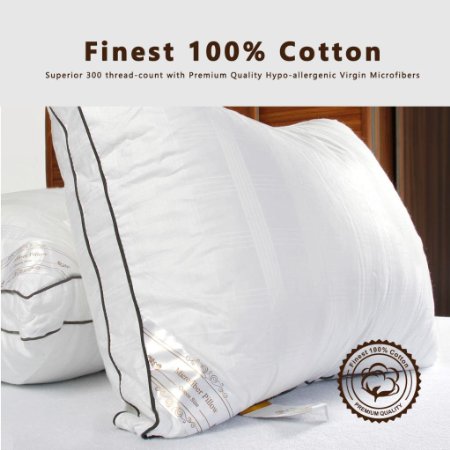 DUCK & GOOSE CO Premium Hotel Quality Microfiber Luxury Bedding Pillow, Hypo-Allergenic, 100% Cotton with Stylish Design White with Grey Piping Two Pillows Standard
