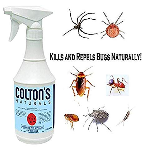 Home Pest Repellent Spray – Natural Pest Control – Useful Against House Roach, Spiders, Ants, Fleas – Fast Acting Pest Control Spray (16 Ounce)