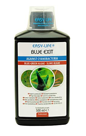 Easy Life Blue Exit, 500 ml