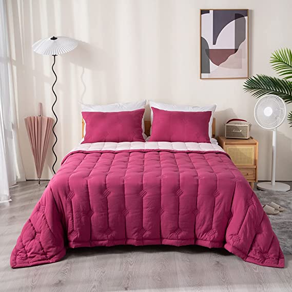 KASENTEX Lightweight All Season 2 Piece Quilt Set (Includes Quilt and Pillow Sham) - Reversible Soft Bedspread & Coverlet Sets Machine Washable Bedding, Red / Pink Potpourri , Twin Size