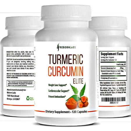 Best Turmeric Curcumin Extract  Quick Absorption  120 Capsules  95 Curcuminoids  500mg  Full 4-Month Supply  Powerful Anti-Inflammatory and Antioxidant