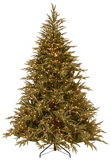 National Tree 9 Foot Frasier Grande Tree, 9 Ft