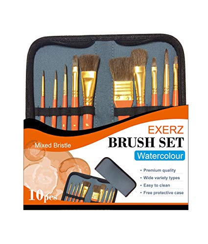 Exerz JH023 Artist Paint Brush Set – 10 pcs Professional Mixed Bristle Brushes in a Travel Case/Perfect for Watercolour Acrylic Gouache - Watercolour