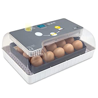 Jumbl Clear Egg Incubator, Fully Automatic Digital Poultry Hatching Machine, Temperature Control & Automatic Egg Turner, LED Candler, Mini 12-35 Egg Incubator Breeder for Chicken, Ducks, Birds & More