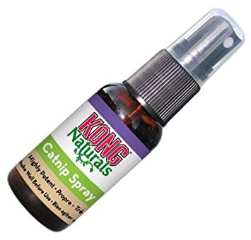 Kong Natural Catnip Spray Size:Pack of 2