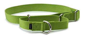 PetSafe Martingale Dog Collar, Alternative to Choke Collar