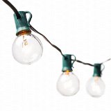 G40 Globe String Lights with 25 Clear Bulbs by Deneve - UL Listed Commercial Quality String Lights Perfect for Indoor  Outdoor Use - 3-YEAR 100 Satisfaction Guarantee on Light String Green