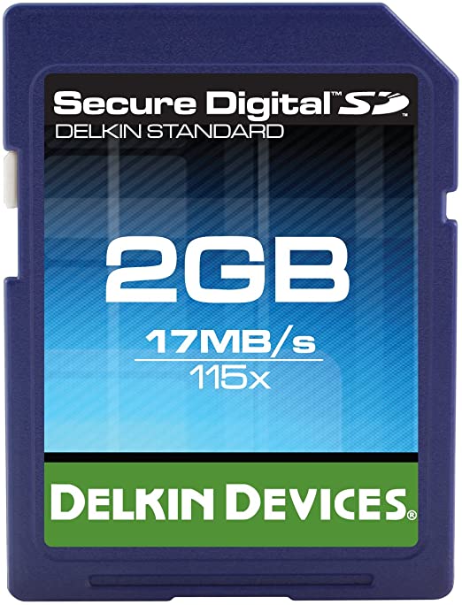 Delkin Device DDSDFLS1-2GB eFilm Secure Digital Card -2GB