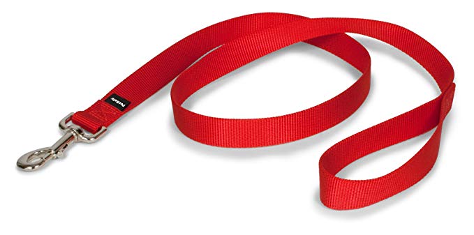 PetSafe Nylon Dog Leash, Strong and Durable Traditional Style Leash with Easy to Use Collar Hook, Available in Multiple Widths and Colors