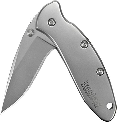 Kershaw Chive Pocket Knife, 1.9 Inch 420HC Steel Blade, Speedsafe Assisted Opening, Made in the USA, (1600)