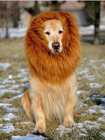 Lion Mane Costume and Big Dog Lion Mane Wigs for Holloween Christmas Party- Large Dog Costumes by IN HAND