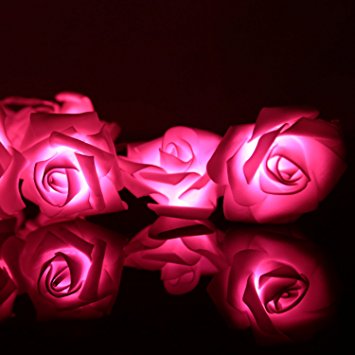 Battery Operated Rose Flower 20LEDs String Lights, Sehon® Perfect For Indoor Decoration, like Bedroom, Living Room, Stairs, Christmas, Weddings, Parties, Valentine. (Pink)
