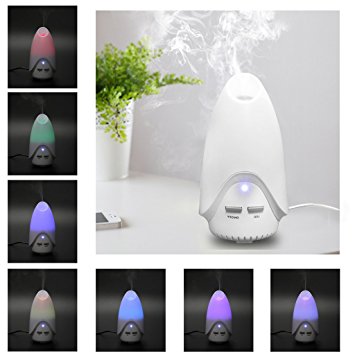 Excelvan Portable USB Aroma Diffuser Ultrasonic Humidifier Air Mist Aromatherapy Purifier LED Light