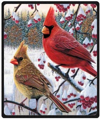 Funny winter cardinal Birds 50" x 60" (Medium) Fleece Throw Plush Blanket