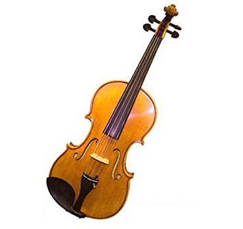 Molinari 331-16 Romanian - High Quality 16" Size Student Viola Outfit (oil finish)