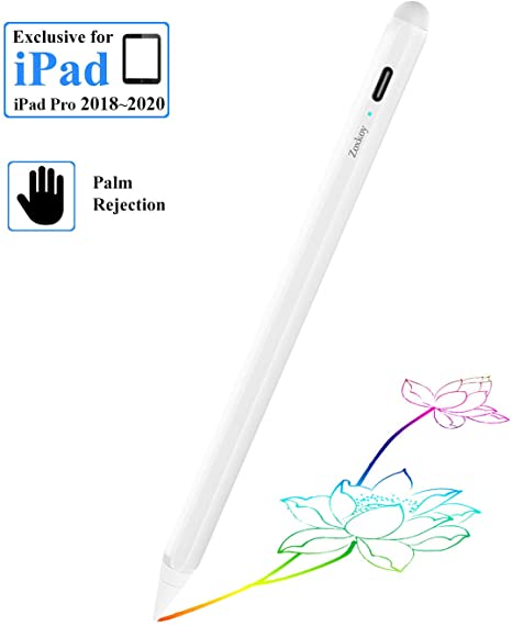 Stylus Pen for Apple iPad Pencil: Touch Pencil with Palm Rejection for Precise Writing & Drawing - Compatible with Apple iPad Pro 11/12.9 Inch iPad 6th/7th | iPad Mini 5th | iPad Air 3rd Gen