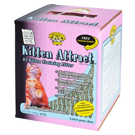 Precious Cat Dr. Elsey's Kitten Attract Scoopable Cat Litter, 20 lbs.