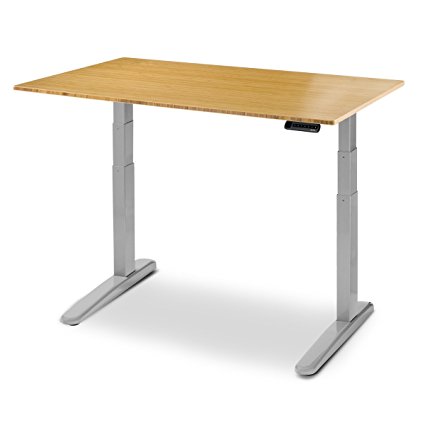 Jarvis Electric Bamboo Adjustable Height Standing Desk with WireTamers (48" x 30", Gray)