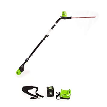 Greenworks 20-Inch 80V Cordless Pole Hedge Trimmer, 20 inches, PH80B210