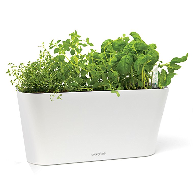 Aquaphoric Herb Garden Tub - Self Watering Passive Hydroponic Planter   Fiber Soil, Keeps Indoor Kitchen Herbs Fresh and Growing for Weeks on Your Home Windowsill. Compact, Attractive and Foolproof.