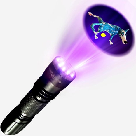 Pet UV (Ultra Violet) 21 LED Blacklight/Flashlight Urine Stain Finder/Detector - Finds Dog/Cat Stains on Carpet & Rugs with 21 LED Bright Lights! Detect Counterfeit Currency, Hotel Room DNA Filth & Bedbugs, Scorpions & More. Batteries Included! Lifetime Warranty by Sherlock Hones SH®