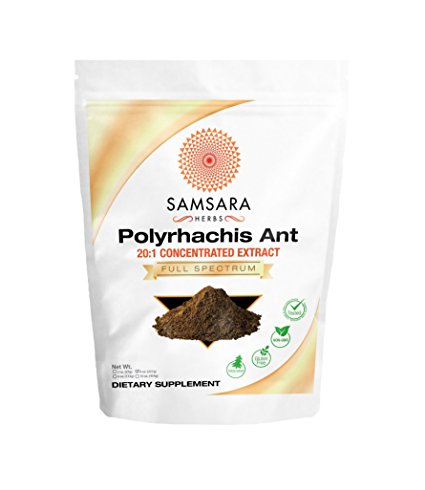 Polyrhachis Ant Extract Powder - 20:1 CONCENTRATED EXTRACT … (8oz)