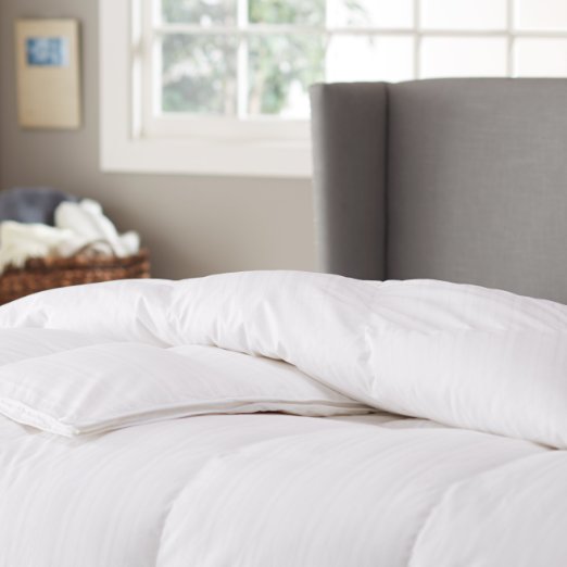 Pinzon Hypoallergenic Medium Warmth White Goose Down Comforter - FullQueen