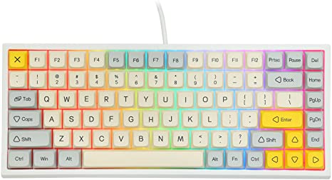 EPOMAKER EP84 84-Key RGB Hotswap Wired Mechanical Gaming Keyboard with PBT Dye-subbed Keycaps for Mac/Win/Gamers (Gateron Brown Switch, Geometry Grey XDA Profile)