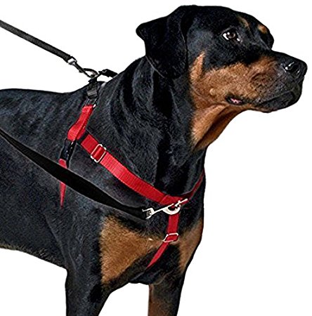 2 Hounds Design Freedom No-Pull Dog Harness with Leash, Medium, 1-Inch Wide, Black