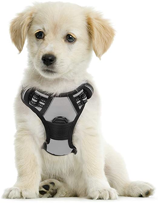 rabbitgoo Dog Harness, No-Pull Pet Harness with 2 Leash Clips, Adjustable Soft Padded Dog Vest, Reflective No-Choke Pet Oxford Vest with Easy Control Handle for Large Dogs, Light Gray (S, Chest 15.7-27.6")