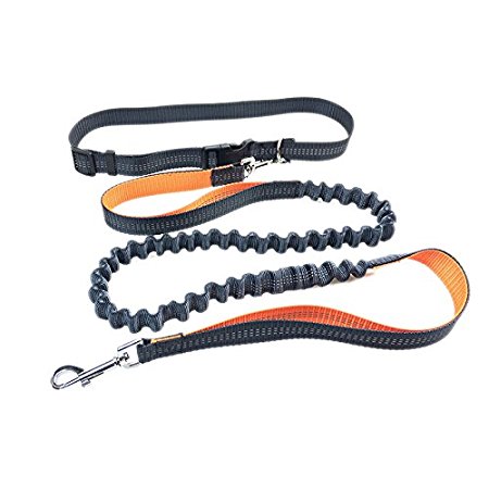 Hands Free Dog Leash, PYRUS Dual Handle Running Leash Shock Absorbing Extendible Bungee Adjustable Waist Belt For Running Walking & Jogging