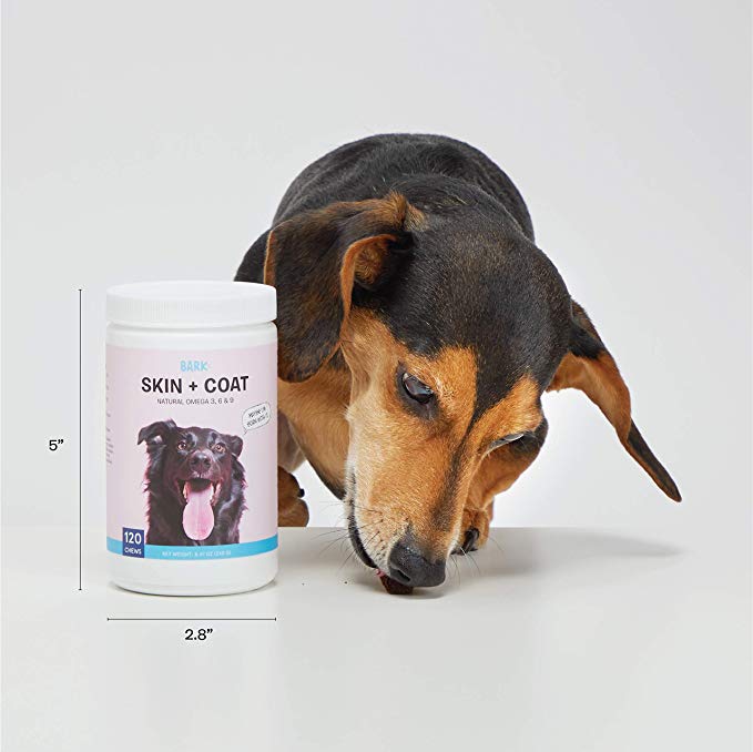 BarkBox Veterinarian-Formulated Dog Skin & Coat Supplement Healthy Shiny Skin & Coat - Made in The USA Omega 3, 6 & 9-120 Chews/Treats