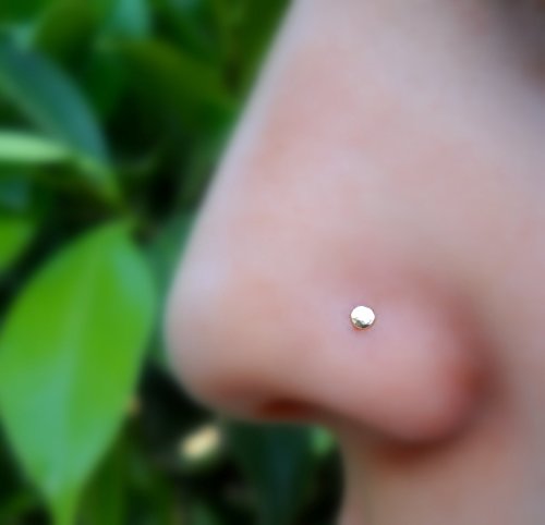Nose Ring Stud - Cartilage Tragus Earring - 14K Solid Gold - 2mm Disk - 22G to 16G Post
