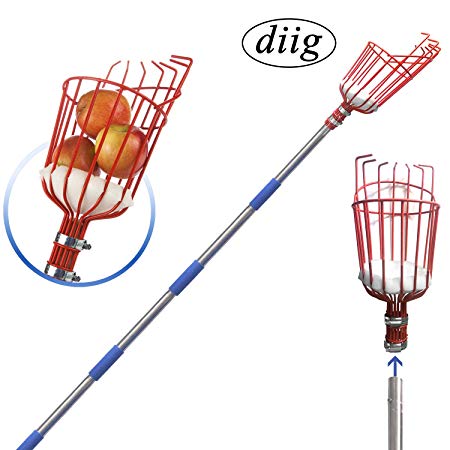 diig Fruit Picker, 5.5-Foot Fruit Picker Tool with Stainless Steel Connecting Pole, Fruit Picking Equipment for Getting Fruits Lemons, Apples, Guavas, Avocados, Pears, Mangoes, Oranges, Citrus