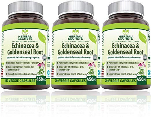 Herbal Secrets Echinacea & Goldenseal Root with Echinacea Purpurea, Goldenseal, Burdock Root & Cayenne Pepper - Supports Healthy Immune Function (Pack of 3-250 Capsule Bottles)