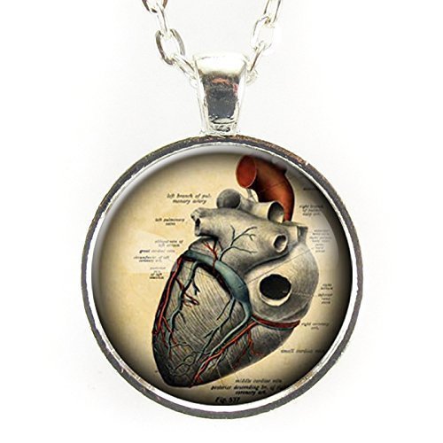 Anatomical Heart Necklace, Gothic Jewelry, Science Gifts, Gift Ideas For Nurse Or Doctor, Macabre Pendant