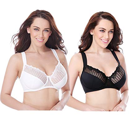 Curve Muse Plus Size Minimizer Underwire Bra with Lace Stripe Embroidery-2Pack