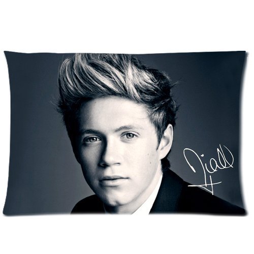 Vintage Charming Niall Horan 1D One Direction Custom Zippered Pillowcase Pillow Cases Cover 20x30 (one side)