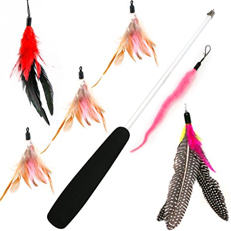 6 Pcs Assorted Feather Cat Interactive Toy,Yica Retractable Wand Rod With 6 Pcs Feather Teaser Cat Catcher - Perfect Teaser for Exercising Kitten and Cat(Black)
