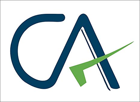 fusion Reflective Vinyl "Ca {Charted Accountant " Sticker/ Decal For Car/Jeep 10.5x10.5 cm