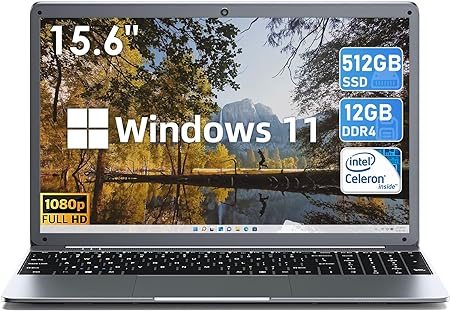 SGIN 15.6 Inch Laptops, 12GB DDR4 512GB SSD Windows 11 Laptop Computer with Intel Celeron N5095 Processor(Up to 2.9GHz), FHD 1920x1080, Dual Band WiFi, Webcam, USB 3.0, Bluetooth 4.2