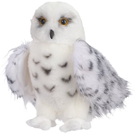 Wizard Snowy Owl