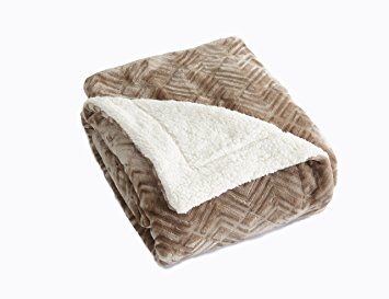 Premium Reversible Berber and Sculpted Velvet Plush Luxury Blanket. High-End, Soft, Warm Sherpa Bed Blanket. By Home Fashion Designs Brand. (Twin, Taupe)