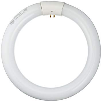 GE Lighting 33774 Cool White 8-Inch Diameter Circline Fluorescent T9 Bulb, 22-Watt