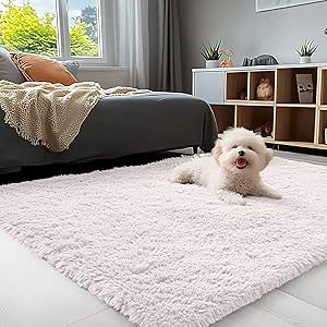 OLANLY 3x5 Machine Washable Small Bedside Rug, Soft Fluffy Shaggy Rugs for Living Room, Bedroom, Indoor Floor Carpet for Kids Girls and Boys, Preppy Dorms, Nursery, Home Decor Aesthetic, White