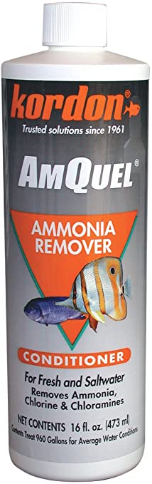 Kordon #31256 AmQuel- Ammonia Detoxifier for Aquarium, 16-Ounce